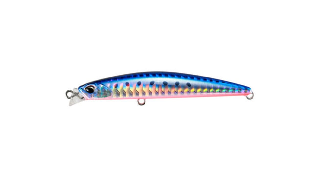 beachwalker-axion-slim-mazume-sardine-jpg