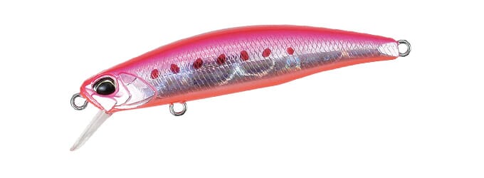 pink-sardine_1-jpg