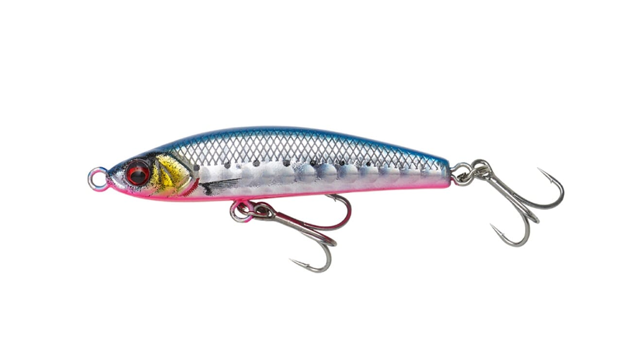 sg-gravity-pencil-sinking-pink-belly-sardine-jpg